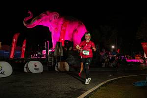 BIB: 
                            <button type="button" onclick="openModal(26534084)" class="btn btn-primary btn-sm float-right btn-popup" data-toggle="modal" data-target=".modal-high-quality">
                        <i class="fas fa-shopping-cart"></i> Add to Cart
                    </button>
                                            <button type="button" onclick="isThisMe(26534084, true)" class="btn btn-success btn-sm float-right btn-popup btn-isme hidden" data-toggle="tooltip" data-placement="bottom" title="นี่คือรูปของคุณใช่ไหม คลิกที่นี่เพื่อเอาเข้าอัลบั้ม">
                        <i class="fas fa-plus"></i> Add to album
                    </button>
                    <button type="button" onclick="isThisMe(26534084, false)" class="btn btn-warning btn-sm float-right btn-popup btn-isnotme hidden">
                        <i class="fas fa-ban"></i> Remove from album
                    </button>